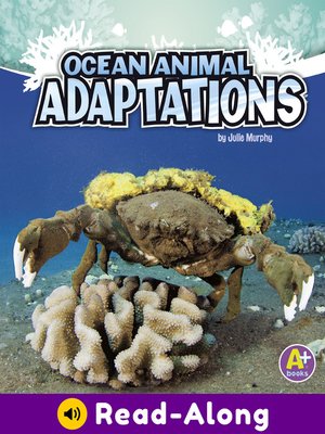cover image of Ocean Animal Adaptations